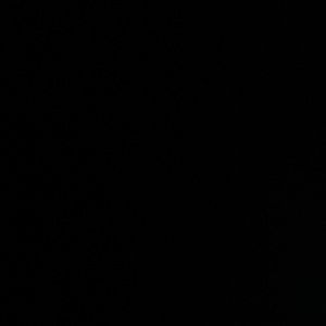 Meet your Posher, Anton